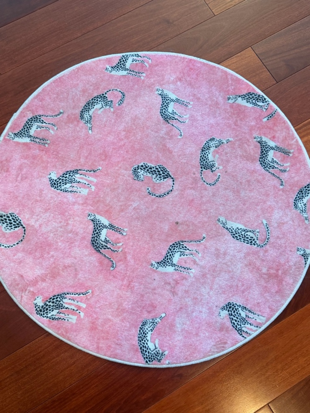 Super cute light weight decor rug